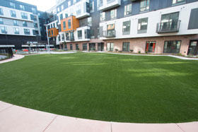 Lawn 2 - Michelangelo Putting Greens, Minneapolis