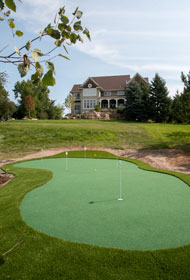 Putting Green 21 - Michelangelo Putting Greens, Minneapolis