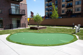 Putting Green 29 - Michelangelo Putting Greens, Minneapolis