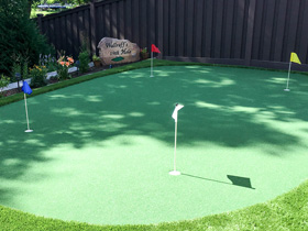 Putting Green 78 - Michelangelo Putting Greens, Minneapolis