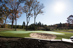Putting Green 82 - Michelangelo Putting Greens, Minneapolis