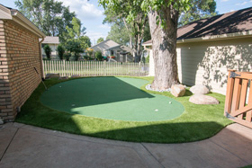 Putting Green 85 - Michelangelo Putting Greens, Minneapolis