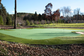 Putting Green 88 - Michelangelo Putting Greens, Minneapolis